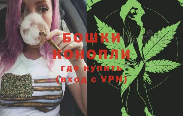 индика Верея